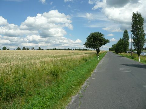 Foto 52